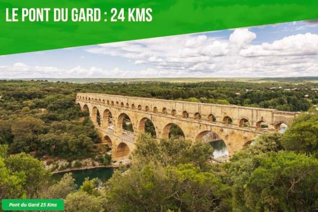 La Balance Des Doms - 1 Min Du Palais Des Papes - Intra-Muros Avignone Esterno foto